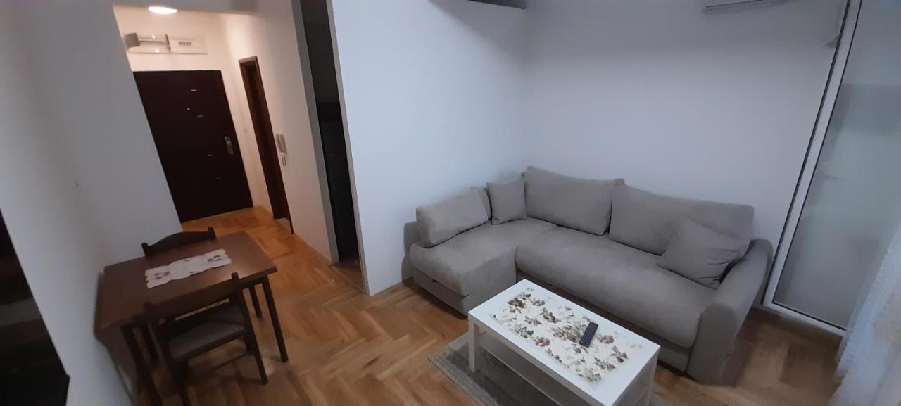Apartment Luka بودغوريتْسا المظهر الخارجي الصورة