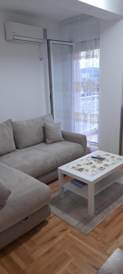 Apartment Luka بودغوريتْسا المظهر الخارجي الصورة