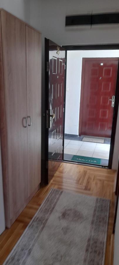 Apartment Luka بودغوريتْسا المظهر الخارجي الصورة